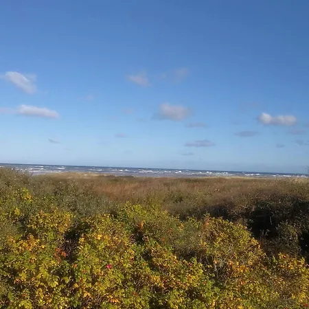 6 Person In Bindslev-by Traum