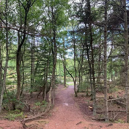 6 Person In Bindslev-by Traum