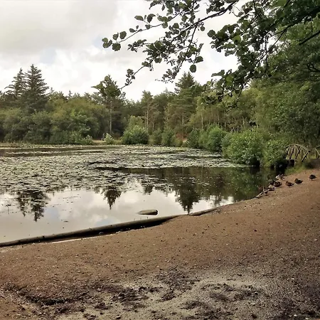 6 Person In Bindslev-by Traum Дом отдыха