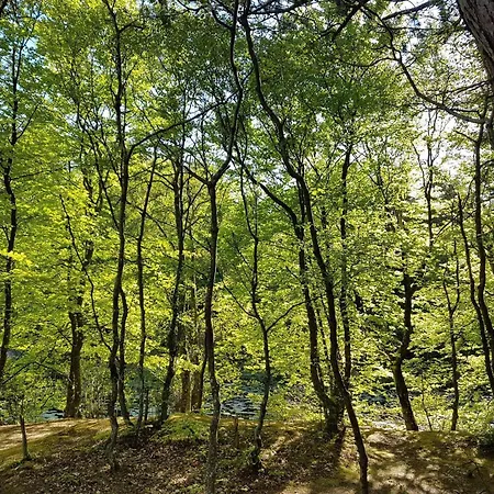 6 Person In Bindslev-by Traum * Stabaek