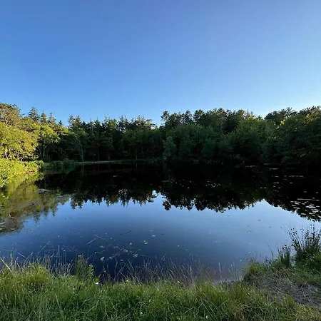 6 Person In Bindslev-by Traum