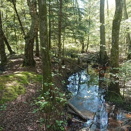 Дом отдыха 6 Person In Bindslev-by Traum *