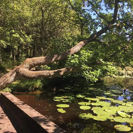 6 Person In Bindslev-by Traum Дом отдыха